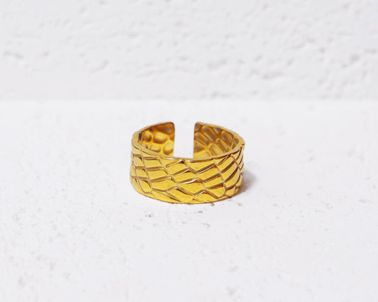 Aurora Band
