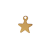 Star Charm